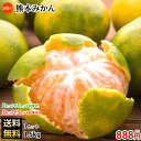 みかん 熊本みかん 訳あり 送料無料 1...