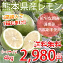 レモン 国産レモン 送料無料 熊本県産 4kg S〜L 3箱...