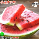 すいか 熊本すいか 訳あり 小玉すいか 送料無料 2玉 約2.5kg 西瓜 スイカ ひとりじめ