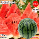 すいか 大玉すいか 送料無料 スイカ 訳あり 1玉 約5〜6...