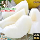 梨 訳あり 送料無料 1.5kg 3玉前後〜5玉前後 熊本県...