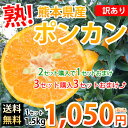 ポンカン 訳あり 送料無料 1.5kg ...
