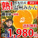みかん 送料無料 訳あり 温州みかん 5kg 2S〜3L 熊...