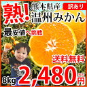 みかん 送料無料 訳あり 温州みかん 8...