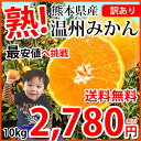 みかん 送料無料 訳あり 温州みかん 10kg 2S〜3L ...
