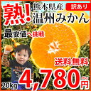 みかん 送料無料 訳あり 温州みかん 2...