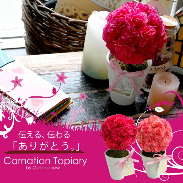 カーネーション トピアリー 母の日 Canation topiary globalarrow グローバルアロー バーチャルグリーン ギフト【あす楽対応】【楽ギフ_包装】【楽ギフ_のし宛書】【P0810】枯れないカーネーションで母の日に感謝の気持ちをいつまでも！