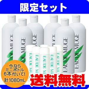 送料無料即納！オードムーゲ　薬用ローション　160mlx6本 + 20mlx6本（1080ml）《税込み5250円以上で送料無料》