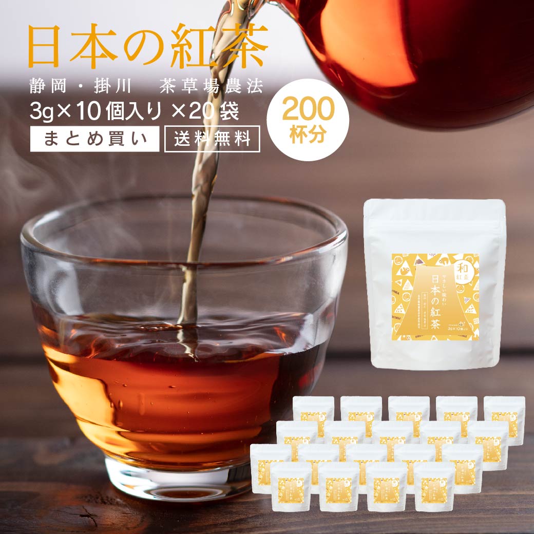 日本の 紅茶 和紅茶 ティーバッグ 3g × 10個入り 20袋 セット 10杯 200杯 紅茶 静岡 掛川 産 ティーパック ティーバック べにふうき やぶきた茶 国産 日本産 お茶 無添加 掛川茶 送料無料 食事にあう お茶 まとめ買い 大容量 ギフト プレゼント