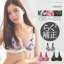 【送料無料】【らくらく補正】 emmy ~ エミー ~ ブラジャー ブラジャー フラン レディース 下着 ブラジャー 単品 ブラ ブラジャー 大きいサイズ エミー らくらく補正