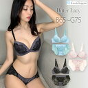 ブラジャー セット レース ショーツ シンプル 大きいサイズ かわいい セクシー 透けショーツ 背中見せ モールド 盛れる 夏服 薄着 使いやすい E70 E75 F70 F75 G70 G75 フランデランジェリー fran de lingerie