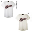 メンズ レディース ミズノプロ シャツ セミハーフボタンタイプ 野球ウェア トップス ミズノ Mizuno 12JC8F04