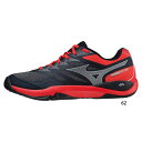 メンズ レディース ウエーブスパーク ワイド オールコート用 WIDE AC テニスシューズ 3E ワイド幅 ミズノ Mizuno 61GA2130