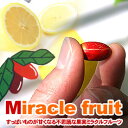 味覚が変る?不思議体験ミラクルフルーツ