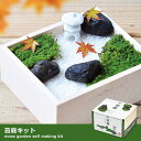単品 景品 【小さな日本庭園を愛でる苔庭キット】 忘年会 景品 結婚式 二次会 景品 ビンゴ 景品 イベント 景品と使い方は自由!