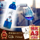 目録 景品 二次会 【世界初の青ワインGik(ジッ