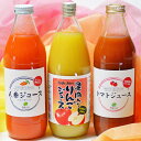 素材が自慢の人参、トマト、りんごのジュース3本セット【グルメ現物】