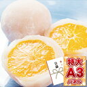 目録 景品 二次会 【新杵堂 まるごとみかん大福】 A3パネ...