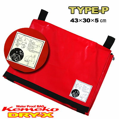 ¨Ǽ͵Υɥ饤ХåDRYXѤᥤå󥸥㡼Хå괶ޤʤDRY-Xᥤо졪DRY-XSQå󥸥㡼ХåLTYPE-Pڤб