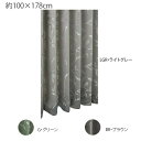 川島織物セルコン アッセル 1.5倍形態安定プリーツ ドレープカーテン 1枚 100×178cm DF1137S (LGR・ライトグレー)