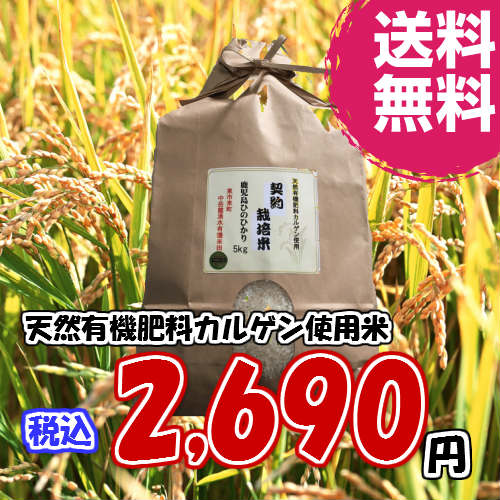 【送料無料】【カルゲン米】契約栽培米ひのひかり5kg...:frekago:10000213