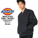 Dickies ディッキーズ ジャケット メンズ 大きいサイ...