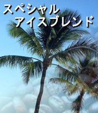 注文後焙煎即発送アイスコーヒー！コーヒー本来の味を封じ込めた【スペシャルアイスブレンド】500g約35杯分　信州の自家焙煎コーヒー工房こだわりの珈琲豆【RCPmara1207】【マラソン1207P10】