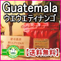 グァテマラ・ウェウェティナンゴ2Kg焼きたてを当日発送！【送料無料】信州の自家焙煎コーヒー工房こだわりの珈琲豆10P13Jan12