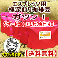 エスプレッソ専用ブレンド（ガツン！）1Kg保存に便利と好評（200g×5パック）【送料無料】信州の自家焙煎コーヒー工房こだわりの珈琲豆　YDKG 円高還元　10P13Feb12エスプレッソ　コーヒー　コーヒー豆