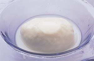 Mozzarella(100g　1個)