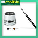 【定形外郵便全国送料無料】(EYEZ)アイズ プロジェルアイライナーセット(アイライナー&ブラシ)- リポゾーン・リバイタラッシュ・ローヤルアイム同様人気です。【smtb-s】