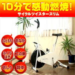 【代金引換専用・送料全国一律1365円＋代引き手数料420円】サイクルツイスタースリム(WT550)今、一番売れているエアロバイク！！