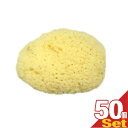 【業務用】【天然スポンジ】ユタカ 天然海綿スポンジ(フェイススポンジ)/(NATURAL SEASPONGE ナチュラル・シースポンジ)(約4~5cm) 50個セット - お肌に優しい海からうまれた天然海綿スポンジ。