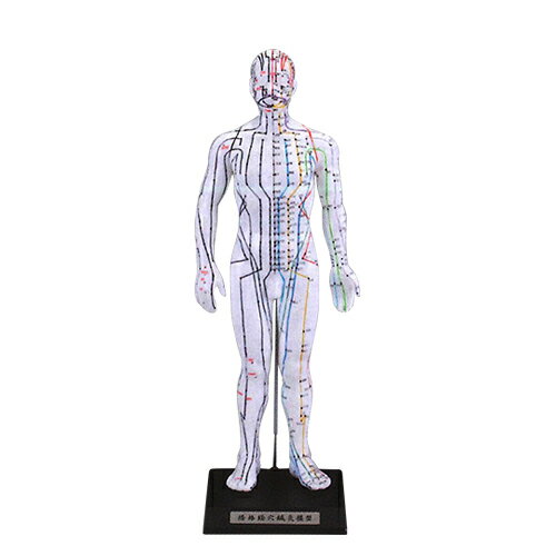https://thumbnail.image.rakuten.co.jp/@0_mall/front-runner-sp/cabinet/medicalbook/medicalbook21/mdpoint01.jpg?_ex=500x500