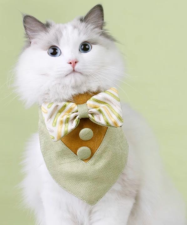ペット 服 猫 小型 大型犬 ネッカチーフ 三角 首巻きよだれかけ 蝶ネクタイ 飾りボタン 面ファスナー 大きいサイズ おしゃれ 紫 緑 青