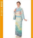 【レンタル】訪問着【大きいサイズ】【トールサイズ】