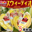 【送料無料】フィリピン産 スィーティオ バナナ 5袋