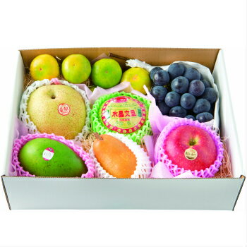 https://thumbnail.image.rakuten.co.jp/@0_mall/fruit-garden/cabinet/05349203/fg5000.jpg?_ex=500x500