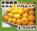 ¤ß¤«¤ó10kgÆþ¤ê¡ù4500±ß¡ª¡ª¡Ú³Ú¥®¥Õ_ÊñÁõ¡Û¡Ú³Ú¥®¥Õ_¤Î¤·°¸½ñ¡Û¡Ú³Ú¥®¥Õ_¥á¥Ã¥»ÆþÎϡۡÚRCP¡Û