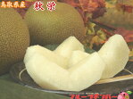 鳥取県産 秋栄梨大玉6個入りセット!!先行予約受付中!!この商品は9月上旬までの発送となります。