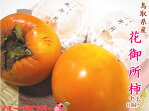 先行予約受付中 花御所柿中玉6個セット★柿かきカキ