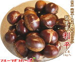 先行予約受付中!訳あり 利平栗(生)1kg1800円!!熊本県産・愛媛産・その他(国産)発送は9月下旬以降からとなります。
