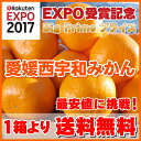 EXPO賞受賞⇒最安値に挑戦!中箱3kg...