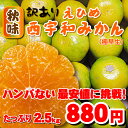 880円で美味しいみかんと言えば!秋味・...