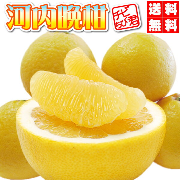 <strong>10kg</strong>で2,580円　小玉 <strong>河内晩柑</strong>・夏文旦<strong>送料無料</strong><strong>10kg</strong> TVで話題の大人気・小玉・<strong>河内晩柑</strong>（夏文旦）<strong>送料無料</strong>・愛媛産（<strong>訳あり</strong>・ご家庭用）愛媛みかん