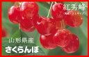 【送料無料】【お中元ギフト】山形県村山市・東根市産 「さくらんぼ(紅秀峰)」 【特秀】 大粒2Lサイズ 約1kg【6月26日〜7月6日頃発送】【日付指定不可】