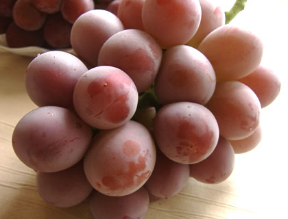 ̵ۡڤ渵ۡڽ椪񤤡ۤޡ֥֥ɥν[·ݥ1˼]