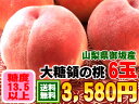 厳しく糖度をチェックしてるから甘いんです！山梨県御坂町[大糖領白鳳6個入り]7月上旬より順次発送です