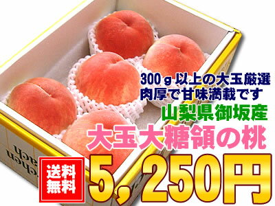 【送料無料】【お中元】【暑中見舞い】あま〜い桃です！糖度13.5以上！1玉300g以上の大玉です！山梨県御坂町[大玉大糖領白鳳5個入り]【smtb-k】【ky】7月中旬頃からの商品発送です