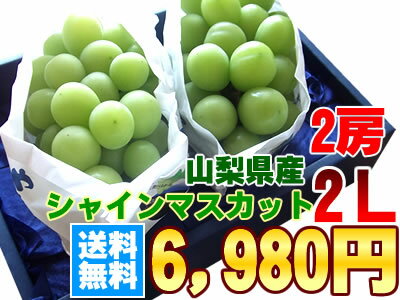 7月中旬より発送開始【送料無料！】たねなしで皮ごと食べられる山梨県産[シャインマスカット2房]化粧箱入り【お中元】【暑中お見舞い】【残暑お見舞】